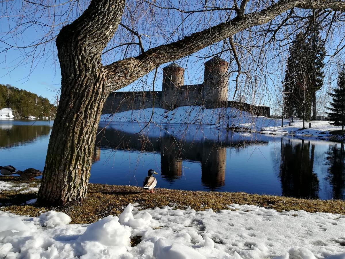 Savonlinna Rentals Экстерьер фото